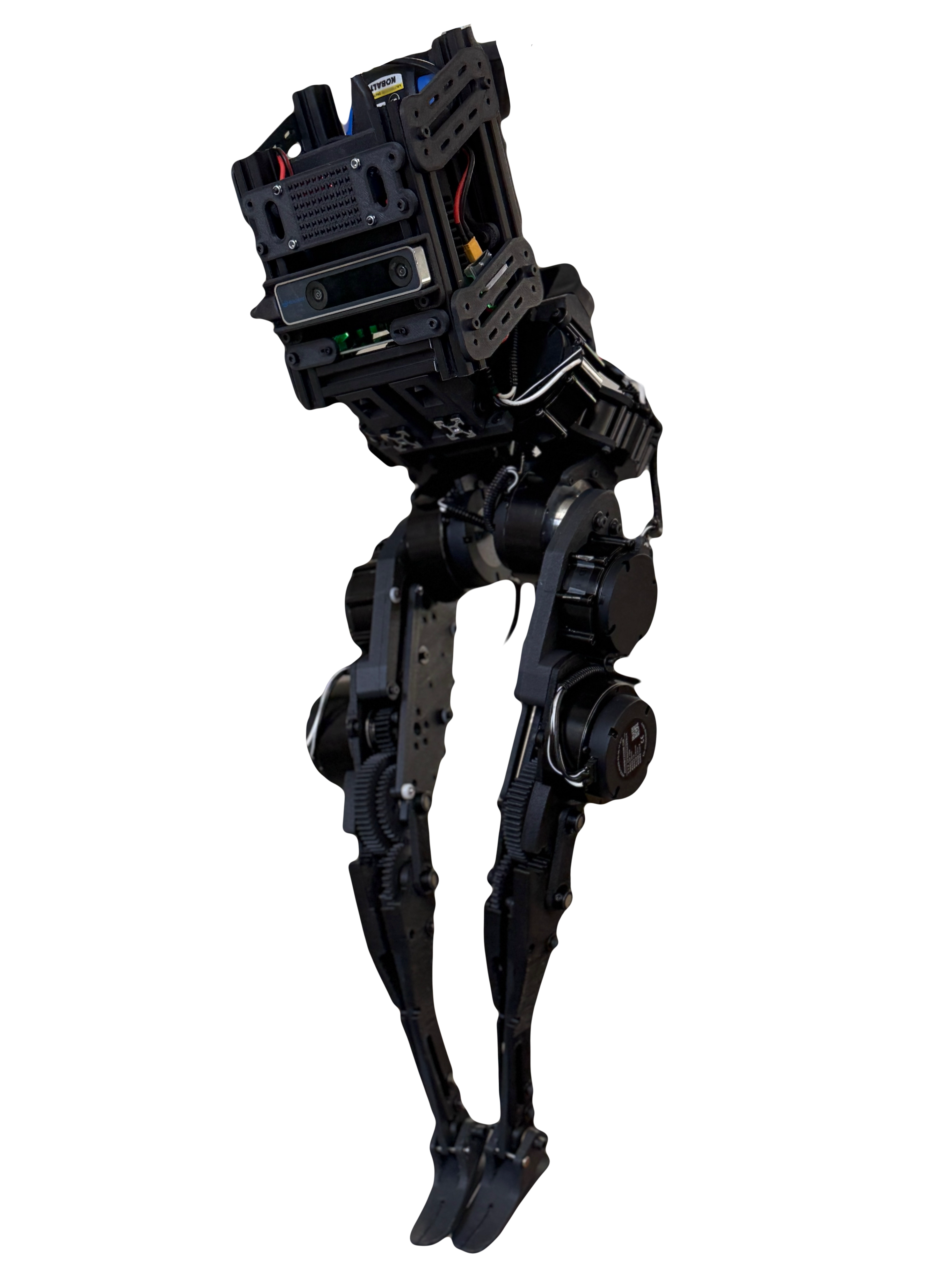 Hector Mini Robot