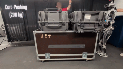 GIF Description